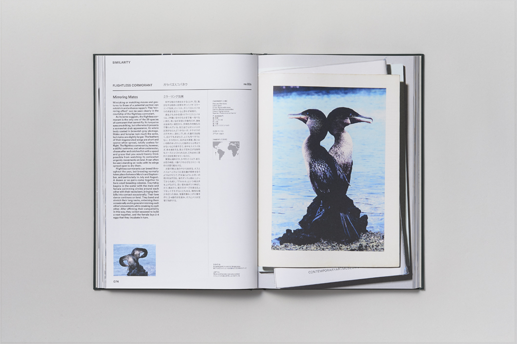 ACT OF LOVE - Image 4