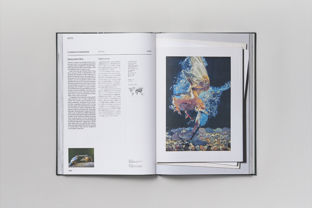 ACT OF LOVE - Image 1