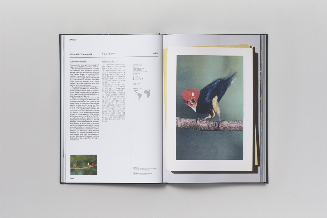 ACT OF LOVE - Image 6