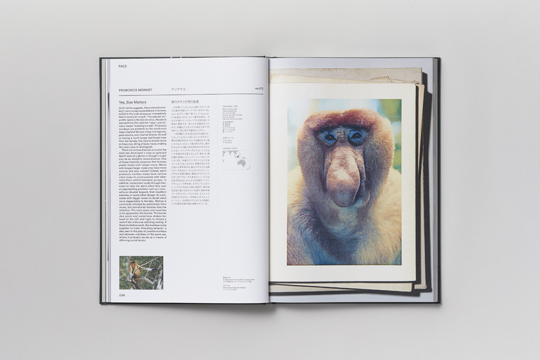 ACT OF LOVE - Image 5