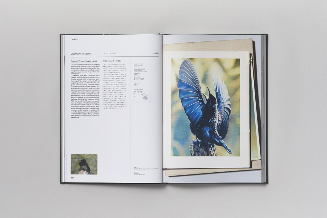 ACT OF LOVE - Image 2