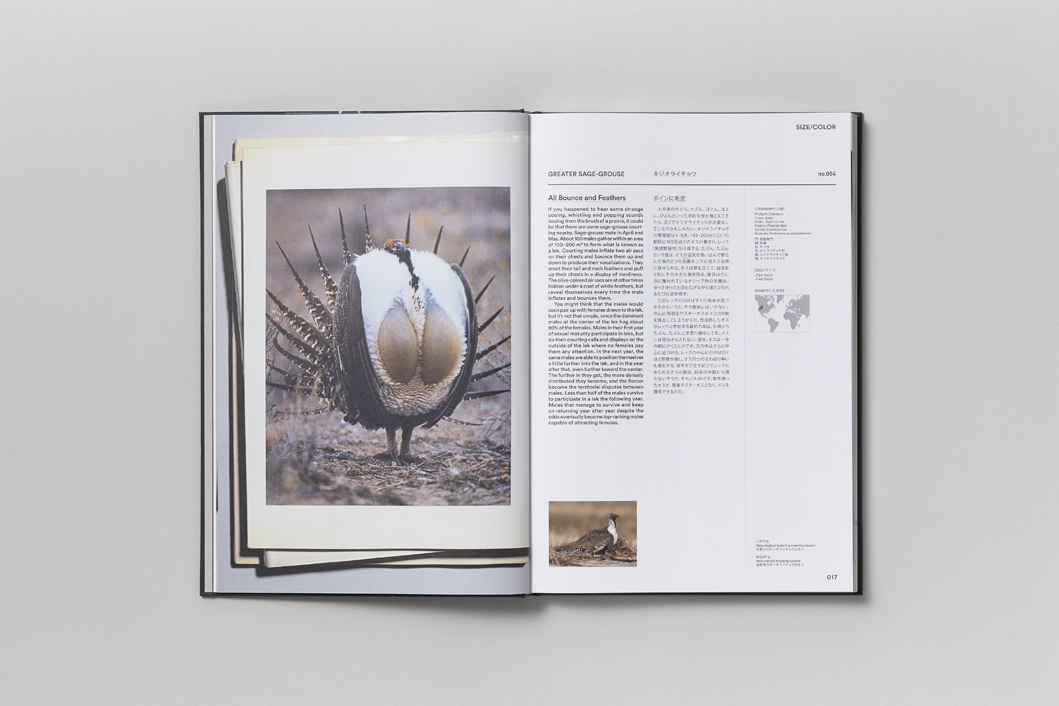 ACT OF LOVE - Image 3