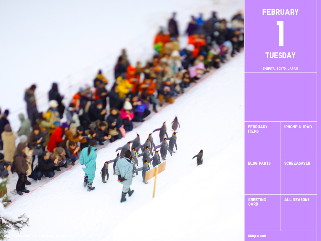 UNIQLO CALENDAR - Image 4